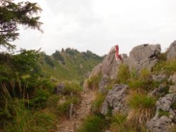 2013-08-25_Risserkogel (210).JPG